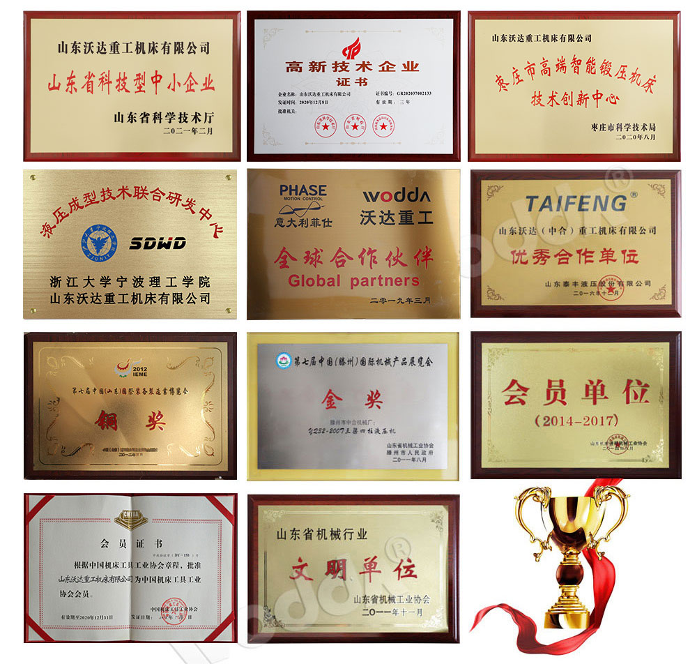 沃達榮譽資質 沃達榮譽資質